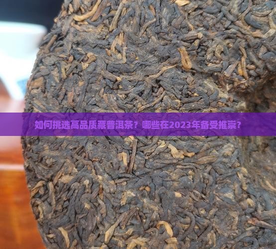 如何挑选高品质藏普洱茶？哪些在2023年备受推崇？