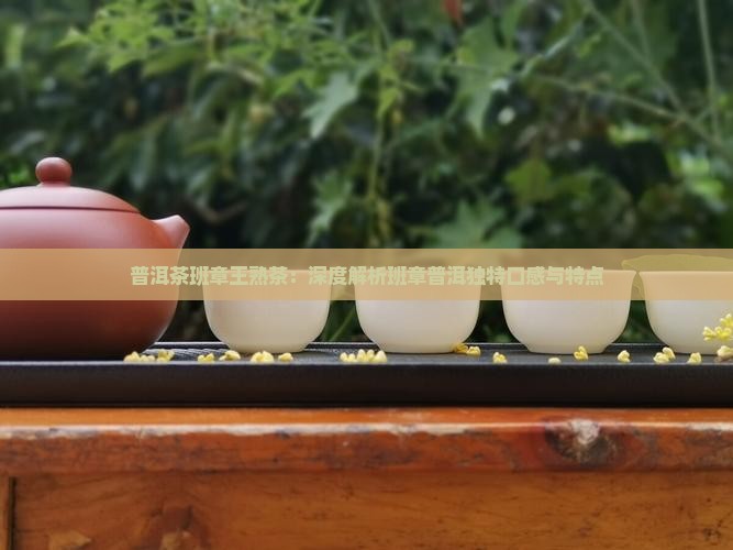 普洱茶班章王熟茶：深度解析班章普洱独特口感与特点
