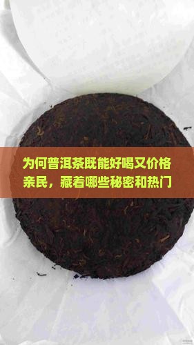 为何普洱茶既能好喝又价格亲民，藏着哪些秘密和热门原因？