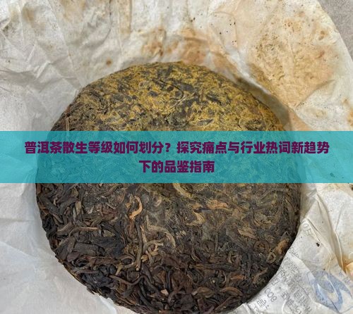 普洱茶散生等级如何划分？探究痛点与行业热词新趋势下的品鉴指南