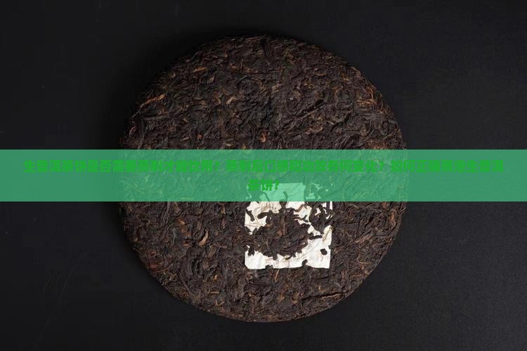 生普洱茶饼是否需要蒸制才能饮用？蒸制后口感和功效有何变化？如何正确蒸泡生普洱茶饼？