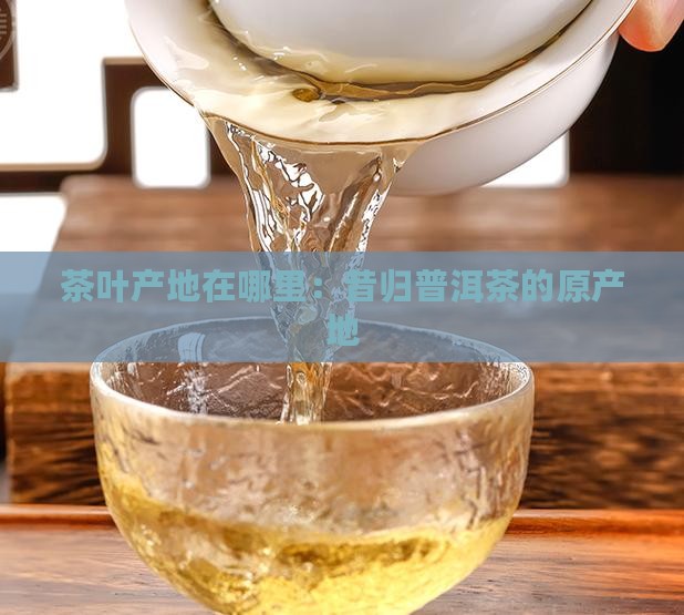 茶叶产地在哪里：昔归普洱茶的原产地