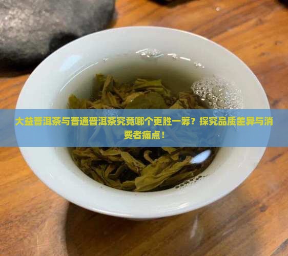 大益普洱茶与普通普洱茶究竟哪个更胜一筹？探究品质差异与消费者痛点！