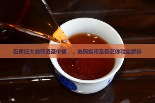 石家庄大益普洱茶价格、、选购指南及茶艺体验全解析