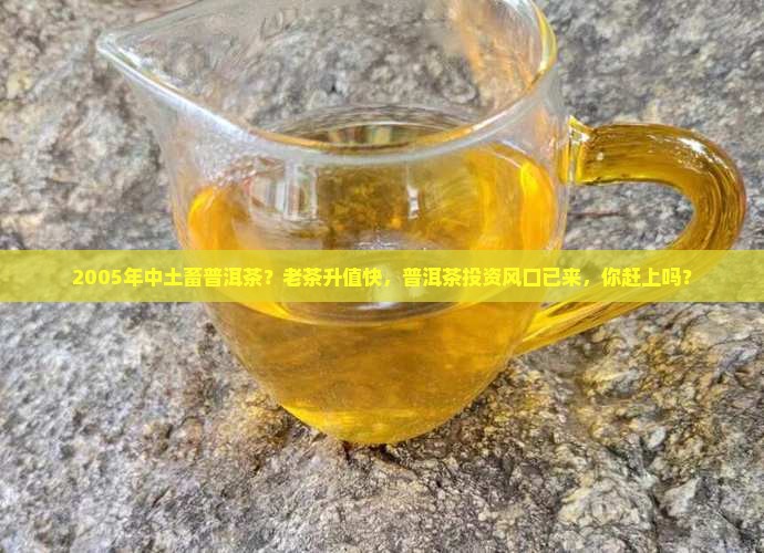 2005年中土畜普洱茶？老茶升值快，普洱茶投资风口已来，你赶上吗？