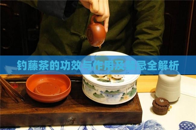 钓藤茶的功效与作用及禁忌全解析