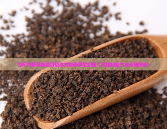 为何中茶早春普洱茶成为春季养生新宠？其独特魅力与市场痛点！