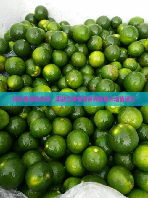 探究普洱茶市场：哪款古树普洱茶具备最大增值潜力