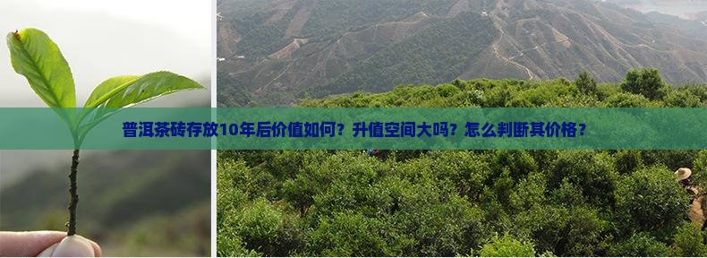 普洱茶砖存放10年后价值如何？升值空间大吗？怎么判断其价格？