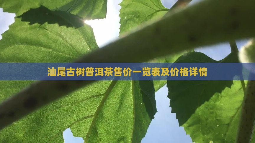 汕尾古树普洱茶售价一览表及价格详情