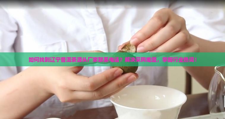如何找到辽宁普洱茶源头厂家联系电话？解决采购难题，掌握行业热词！