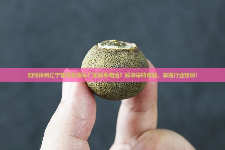 如何找到辽宁普洱茶源头厂家联系电话？解决采购难题，掌握行业热词！