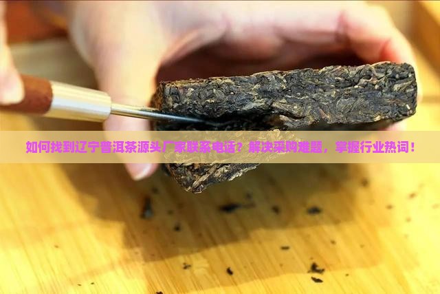 如何找到辽宁普洱茶源头厂家联系电话？解决采购难题，掌握行业热词！