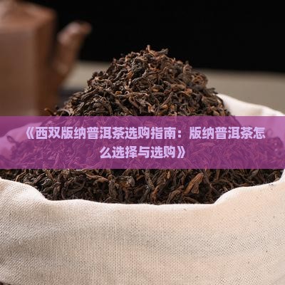 《西双版纳普洱茶选购指南：版纳普洱茶怎么选择与选购》