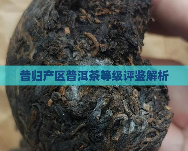 昔归产区普洱茶等级评鉴解析