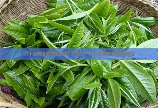 几十的普洱茶饼难喝吗？为什么？几十元的普洱茶能喝吗？