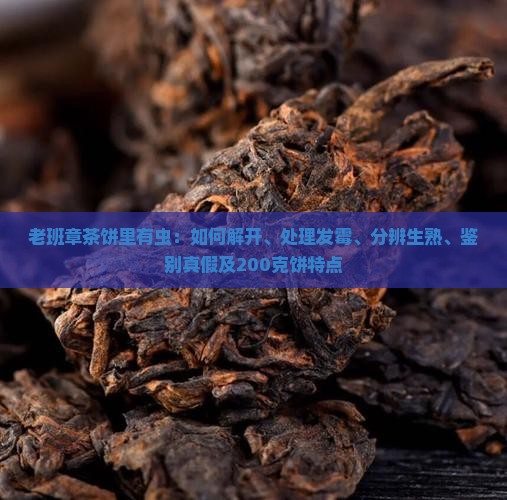 老班章茶饼里有虫：如何解开、处理发霉、分辨生熟、鉴别真假及200克饼特点