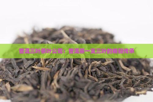 普洱三叶茶叶公司：普洱茶一支三叶的精髓传承