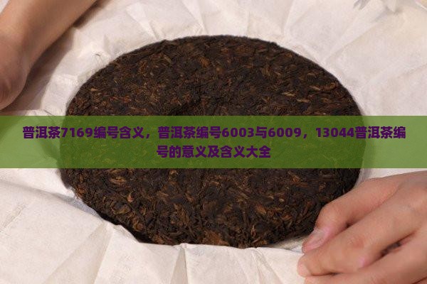 普洱茶7169编号含义