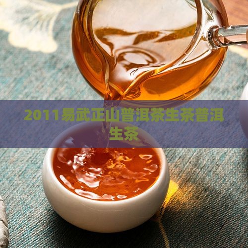 2011易武正山普洱茶