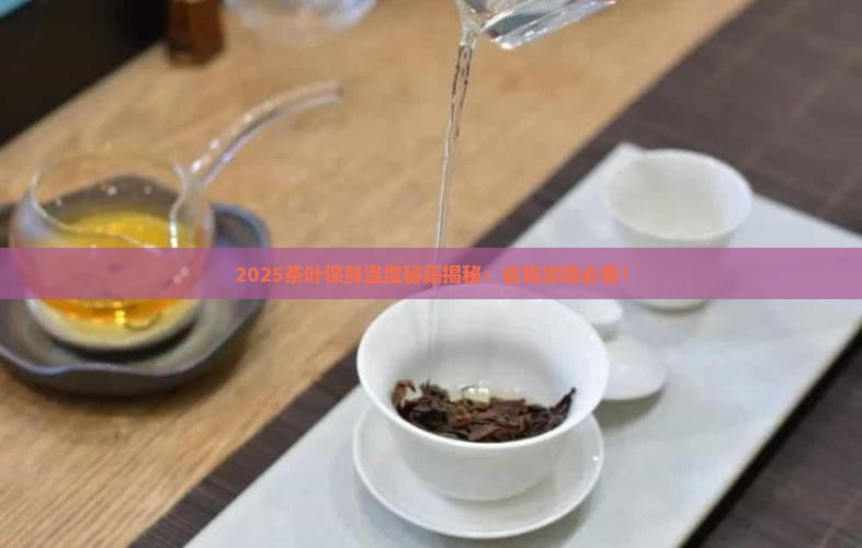 茶叶保鲜的温度是多少