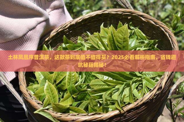 土林凤凰序普洱茶
