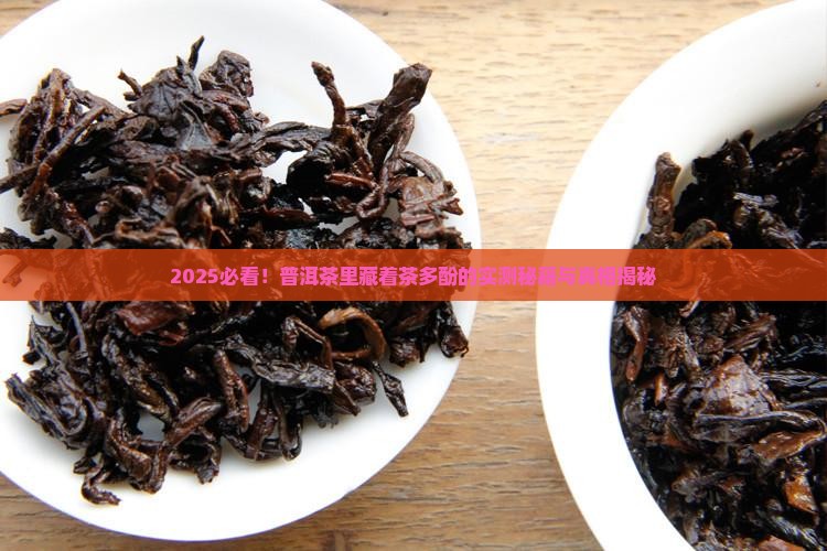 普洱茶里含有茶多酚么