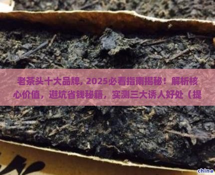 老茶头十大品牌