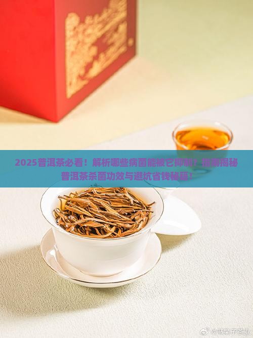 普洱茶治什么病菌呢