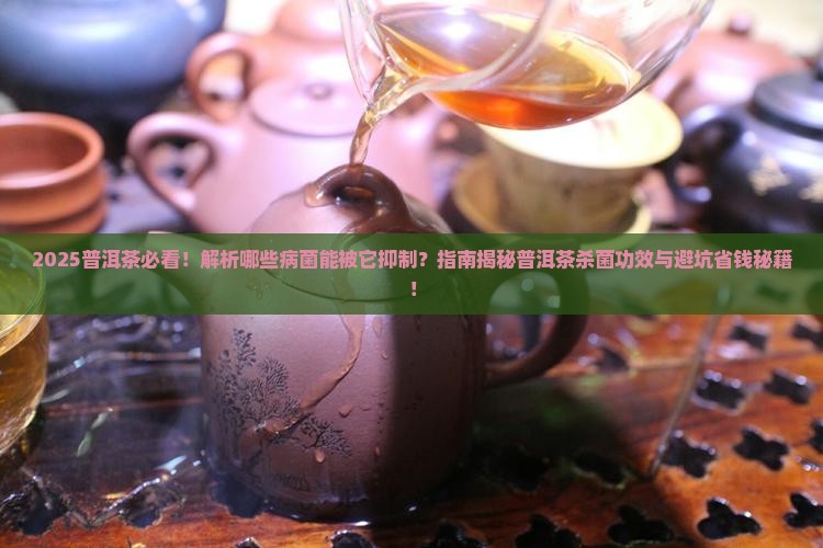 普洱茶治什么病菌呢