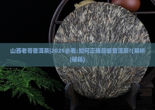 山西老哥普洱茶
