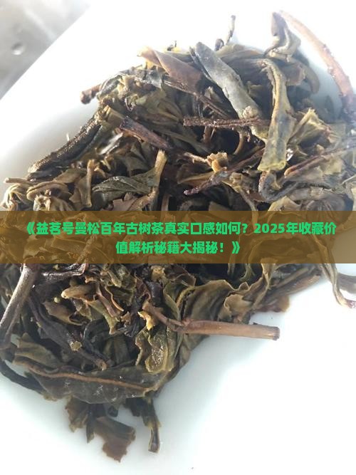 益茗号曼松百年古树茶