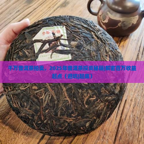千万普洱茶拍卖