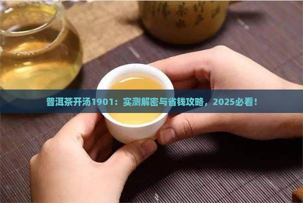 普洱茶开汤1901