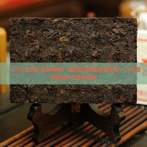 中国普洱茶网朱璐