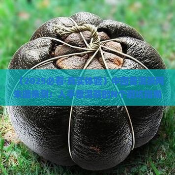 中国普洱茶网朱璐