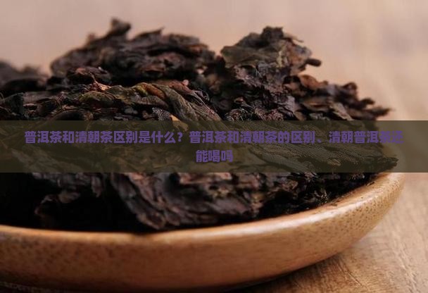 普洱茶和清朝茶区别是什么