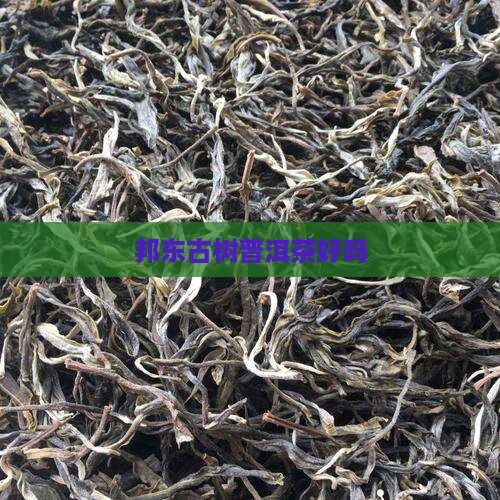 云南邦东普洱茶好吗