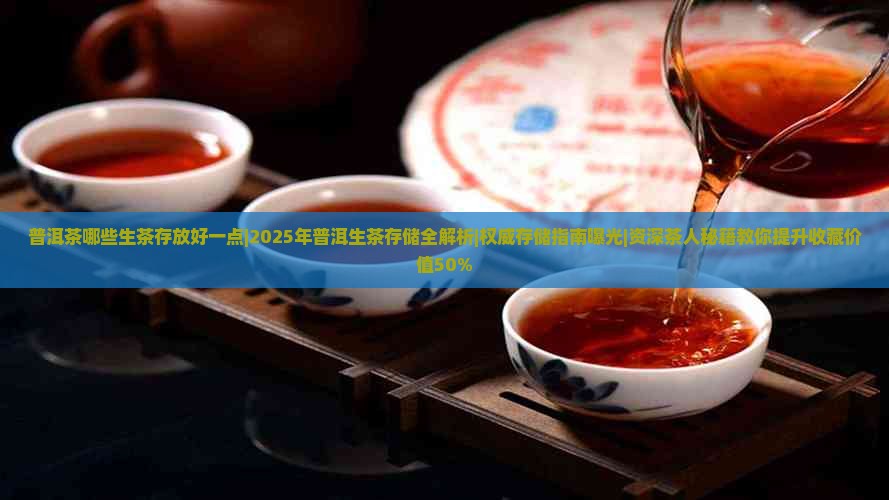 普洱茶哪些生茶存放好一点