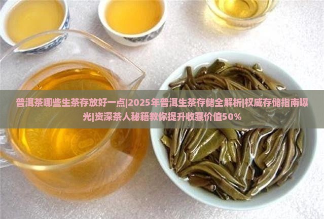 普洱茶哪些生茶存放好一点