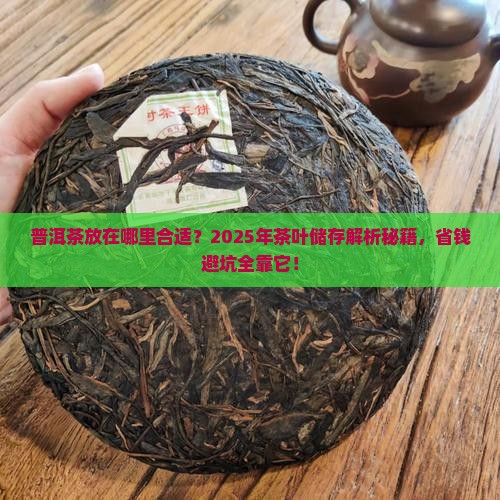 普洱茶放在哪里合适