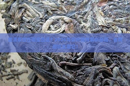 普洱茶放在哪里合适