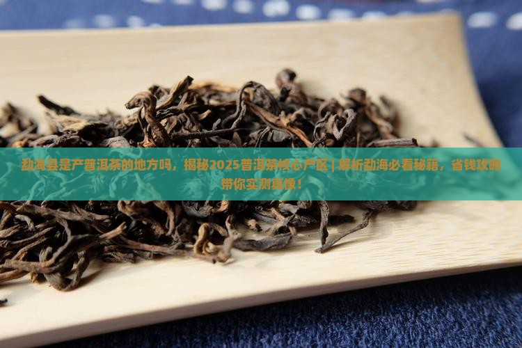 勐海县是产普洱茶的地方吗