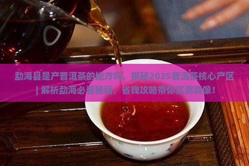 勐海县是产普洱茶的地方吗