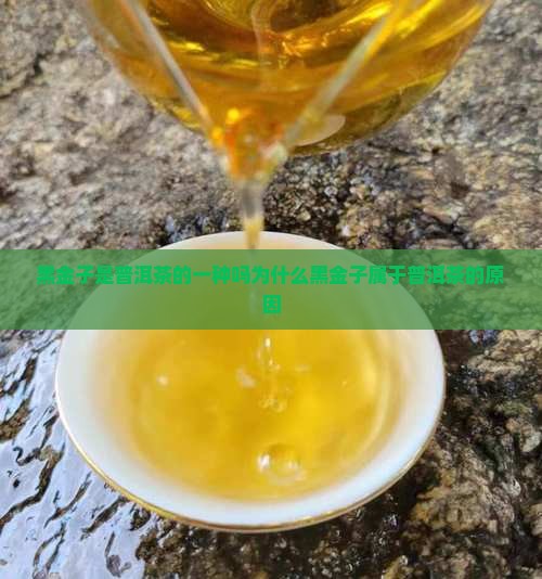 黑金子是普洱茶的一种吗
