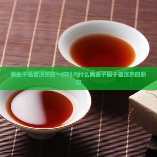 黑金子是普洱茶的一种吗