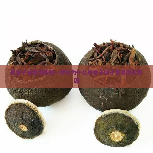 黑金子是普洱茶的一种吗