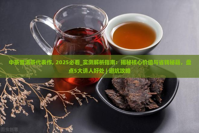 中茶普洱茶代表作