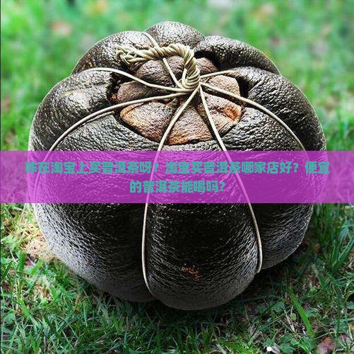 咋在淘宝上买普洱茶呀