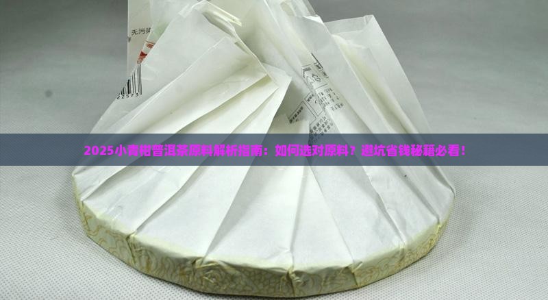 小青柑普洱茶原料